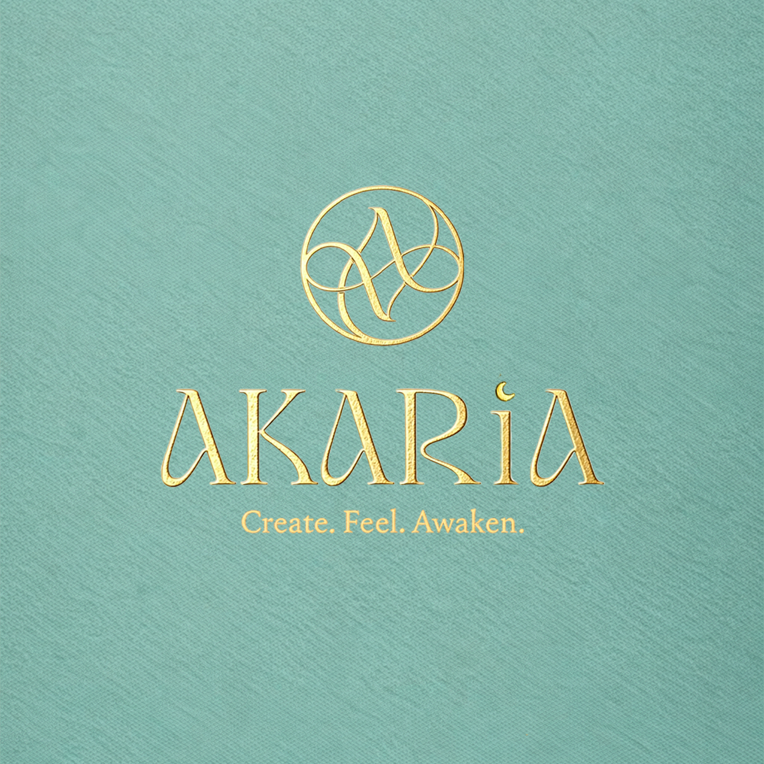 Art Studio AKARiA